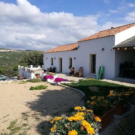 Appartamento L'Albero Magico Nella Campagna Gallurese Santa Teresa Gallura Exterior foto