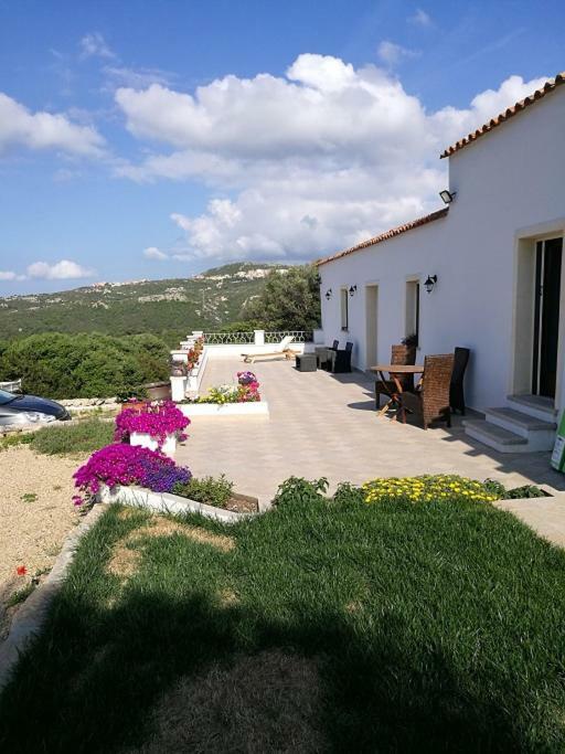 Appartamento L'Albero Magico Nella Campagna Gallurese Santa Teresa Gallura Exterior foto