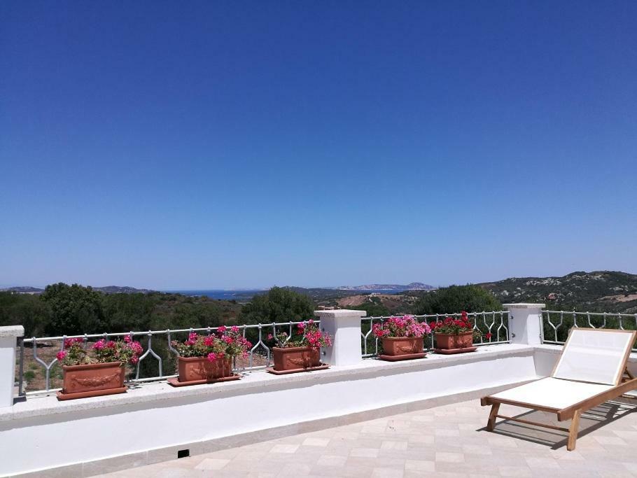Appartamento L'Albero Magico Nella Campagna Gallurese Santa Teresa Gallura Exterior foto